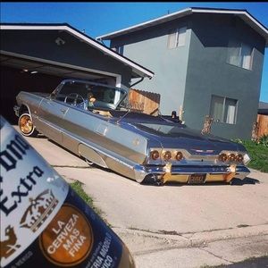 Meet your Posher, Darla